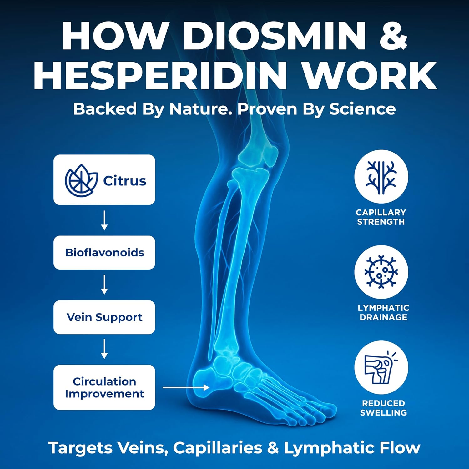 Vein Vitality Complejo Diosmin Hesperidina 1250 mg con Castaño de Indias y Rusco - 60 Cápsulas