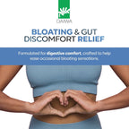 Daiwa GastroImmune - 60 Cápsulas - Salud Digestiva e Inmunidad