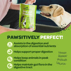 Masticables probióticos para perros con calabaza y enzimas digestivas | 90 unidades