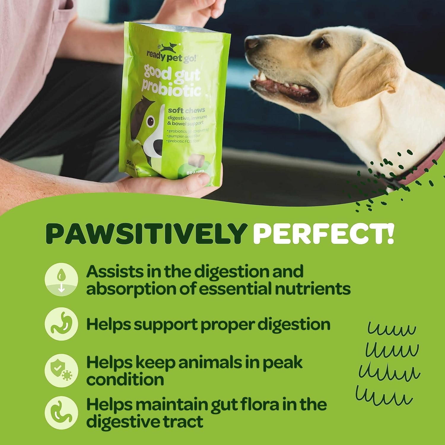 Masticables probióticos para perros con calabaza y enzimas digestivas | 90 unidades