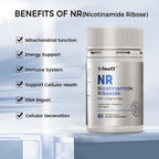 REOTT Suplemento de Nicotinamida Ribósido (NR) 300 mg, Apoyo NAD+, 60 Cápsulas, con L-Ergotioneína y PQQ para Salud Celular y Envejecimiento Saludable