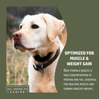 All American Canine - Weight Gainer y Digestive Aid para Perros