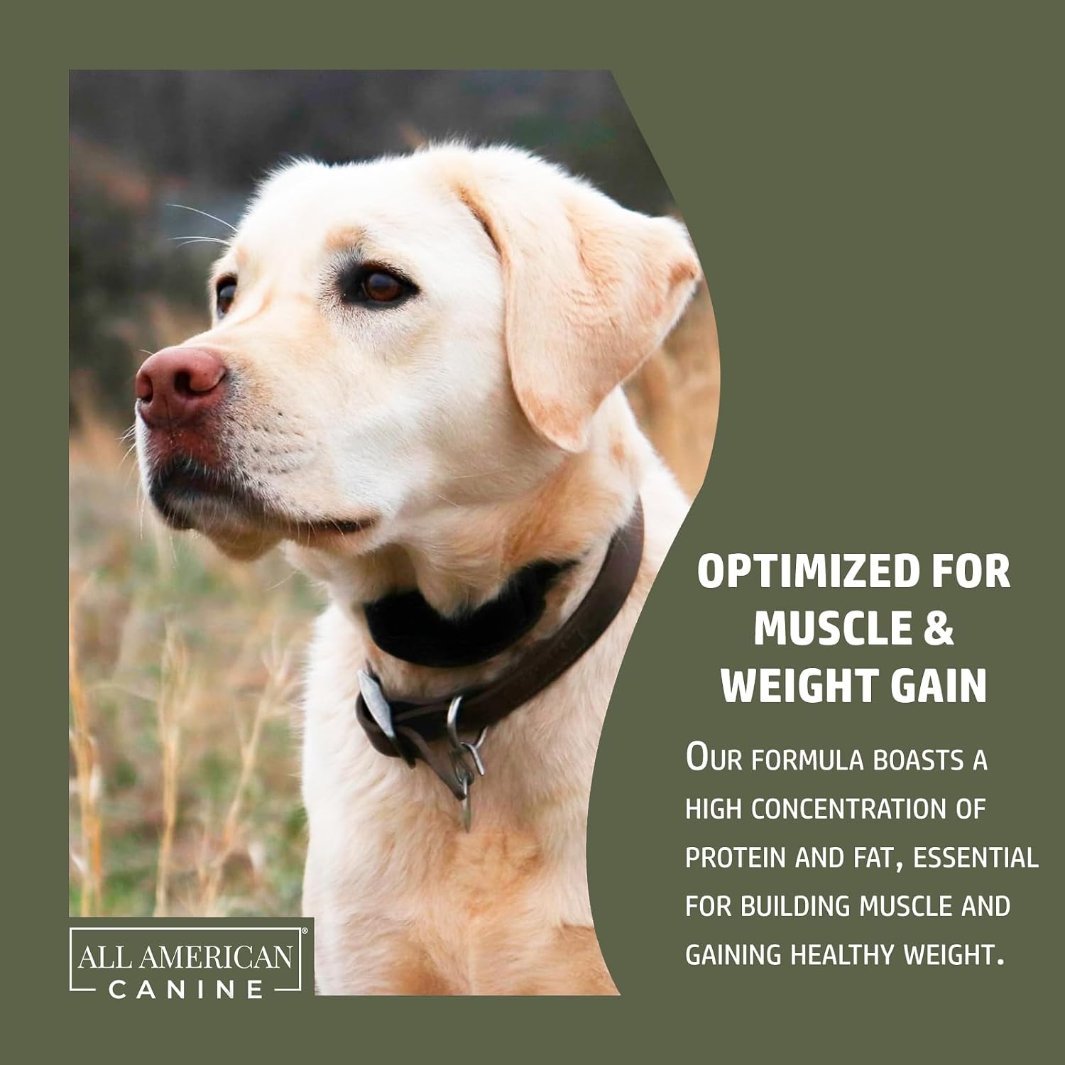 All American Canine - Weight Gainer y Digestive Aid para Perros