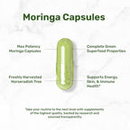 Cápsulas de Moringa 240 Cápsulas – Extracto Puro de Hoja de Moringa – Superalimento Verde Completo