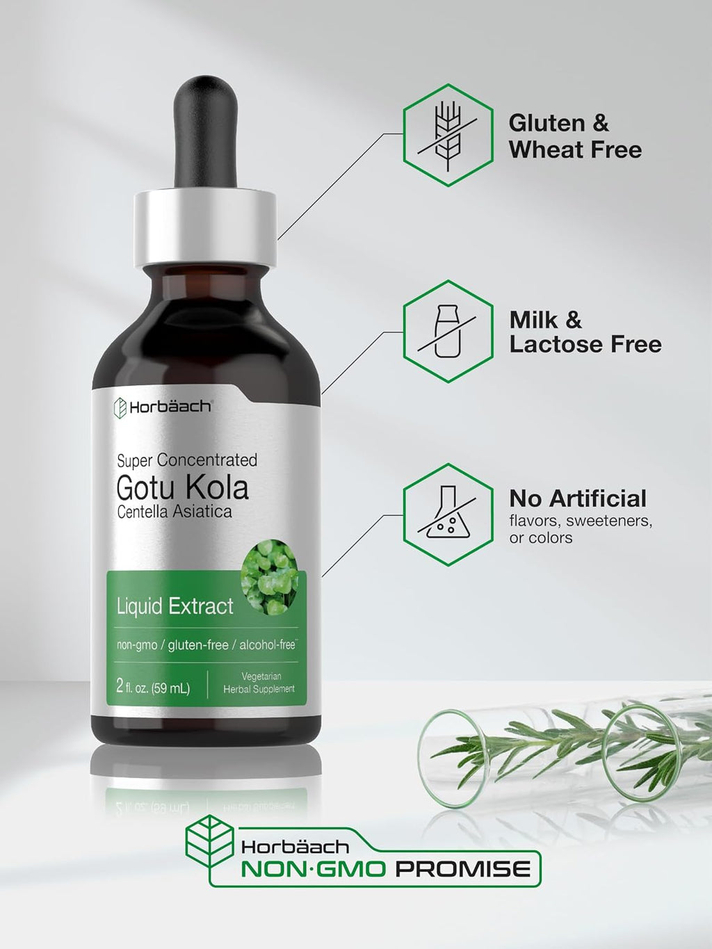 Horbäach Extracto de Gotu Kola - 60 ml - Sin Alcohol - Suplemento Líquido Concentrado - Vegetariano, No-GMO, Sin Gluten