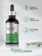 Horbäach Extracto de Gotu Kola - 60 ml - Sin Alcohol - Suplemento Líquido Concentrado - Vegetariano, No-GMO, Sin Gluten