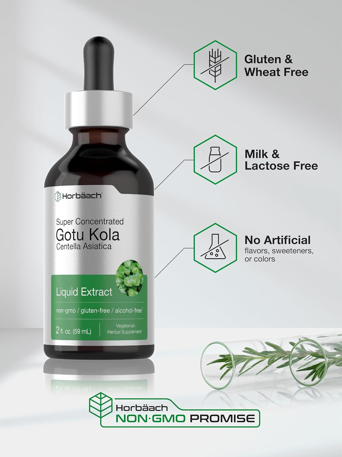 Horbäach Extracto de Gotu Kola - 60 ml - Sin Alcohol - Suplemento Líquido Concentrado - Vegetariano, No-GMO, Sin Gluten