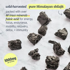 Pink Vitality Gominolas de Shilajit del Himalaya para Fuerza, Energía y Concentración Cognitiva | Sin Azúcar | Vegano | Natural | Sandía