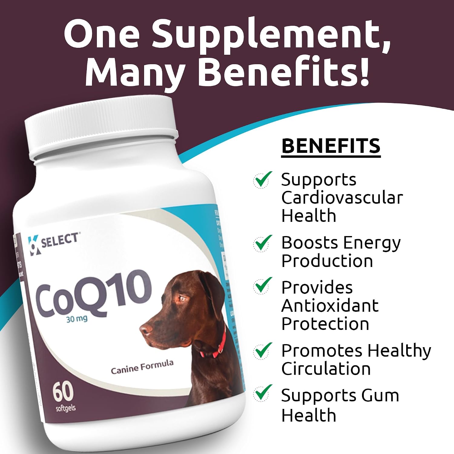 K9 Select CoQ10 Supplement for Dogs, 30mg - 60 Soft Gels per Bottle
