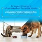 Probióticos para Perros y Gatos - Polvo Prebiótico y de Enzimas Formulado por Veterinarios para la Salud Digestiva, Intestinal e Inmunitaria - 1600 Dosis (400 g)