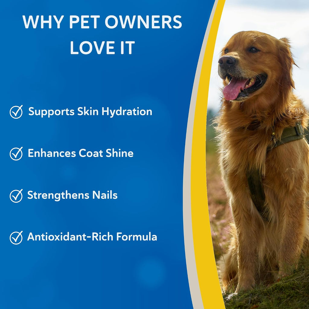 Suplemento Doc Roy's Derma Coat Plus para perros, apoya la piel, el pelaje y las uñas saludables, con ácidos grasos Omega 3-6-9, biotina y antioxidantes, 60 unidades para perros medianos y grandes