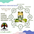 Irish Sea Moss Gel con Soursop – Orgánico, Vegano – Pack de 2