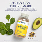 SOLARAY Mega Vitamin B-Stress - B Complex with Vitamin C, Sustained Release, 240 Tablets
