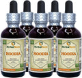 Hoodia (Hoodia Gordonii) Tintura, Extracto Líquido de Planta Seca (HerbalTerra) 5x60 ml