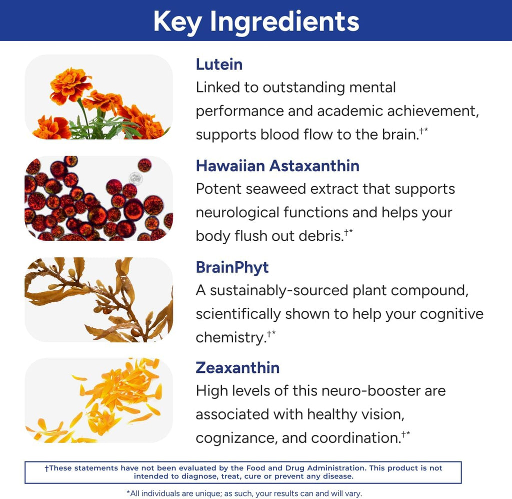 Gundry MD Power Phenols - Suplemento para la Salud Cerebral, Cognición y Energía (30 Cápsulas)