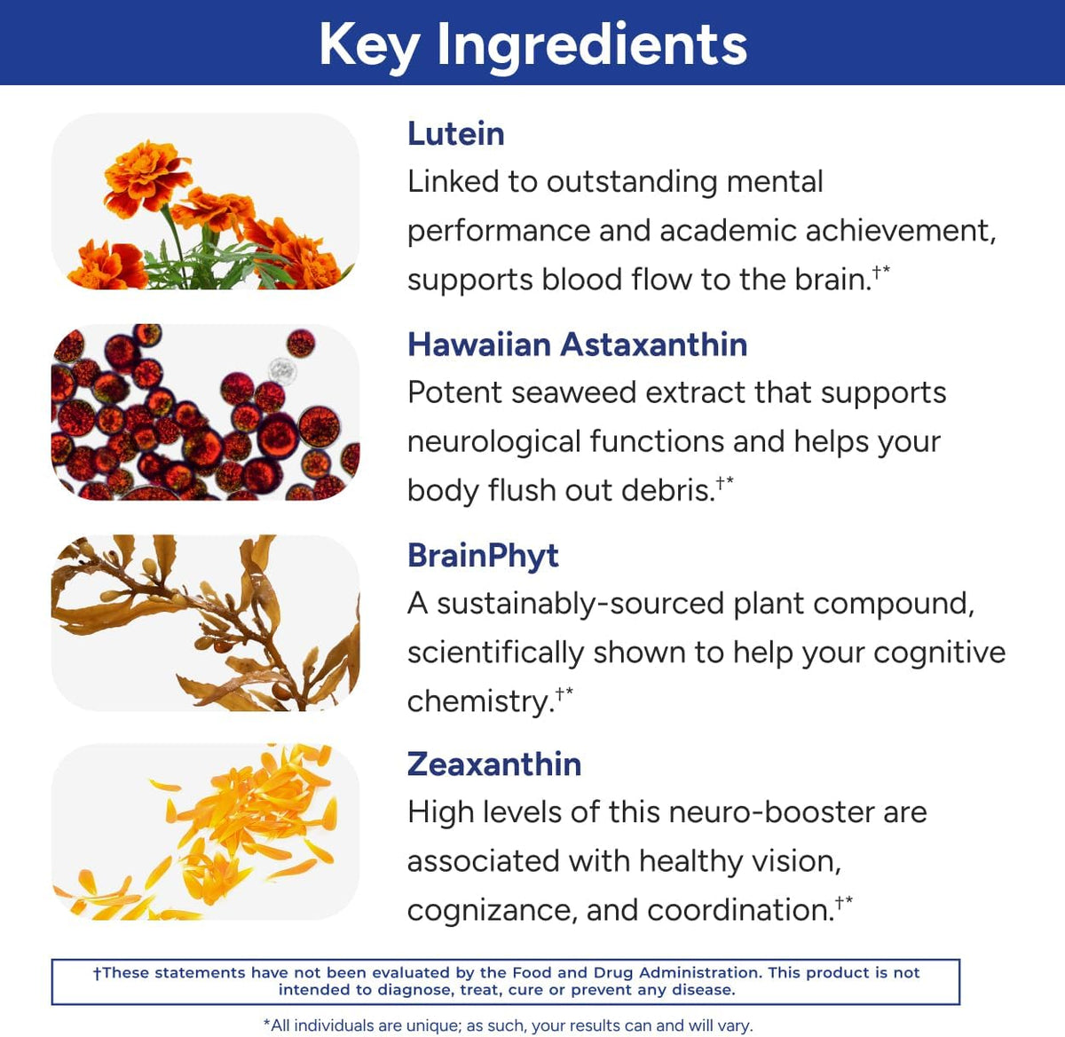 Gundry MD Power Phenols - Suplemento para la – Luteína y Zeaxantina : Carotenoides que se acumulan en el cerebro y – Image 4