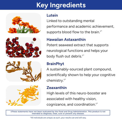 Gundry MD Power Phenols - Suplemento para la – Luteína y Zeaxantina : Carotenoides que se acumulan en el cerebro y – Image 4