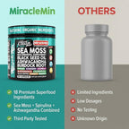 Clean Nutra Cápsulas Orgánicas de Musgo Marino con Ashwagandha, Aceite de Semilla Negra, Raíz de Bardana, Musgo de Vejiga, Moringa, Chlorella, Espirulina, Cúrcuma, Saúco, Amla – 90 Cápsulas Veganas – MiracleMin