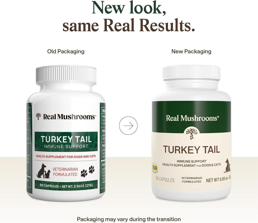 Real Mushrooms Turkey Tail para Mascotas – Suplemento Orgánico para Perros y Gatos – 90 Cápsulas