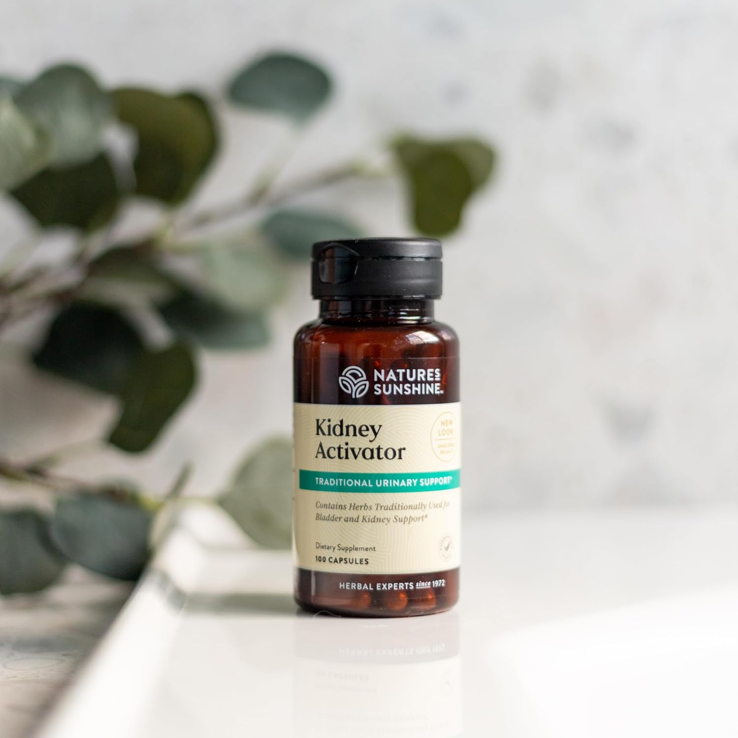 Nature's Sunshine Activador de Riñón - 100 Cápsulas - Apoyo Renal con Hierbas Naturales