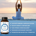 Vitamin World Complejo B con Vitamina C, Liberación Prolongada, 120 Comprimidos
