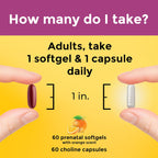 Nature Made Prenatal Vitamin Softgels + Choline Capsules, 60+60 Cápsulas