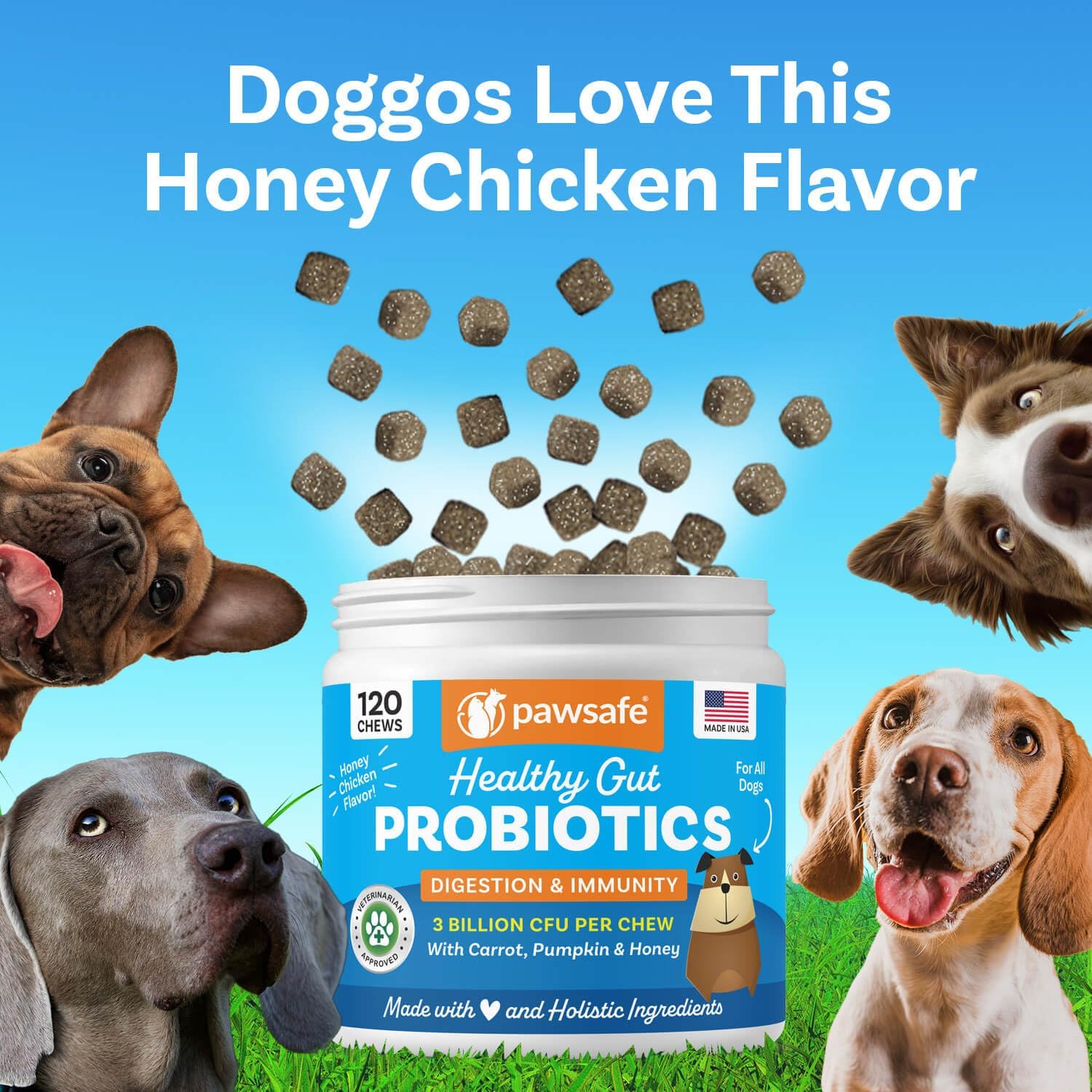 PawSafe Probióticos para Perros Masticables - 120 Unidades - Sabor Pollo y Miel
