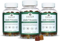 Salaam Nutritionals Multivitamínico en Gominolas para Adultos, 11 Vitaminas y Minerales, 90 Gominolas (Pack de 3)