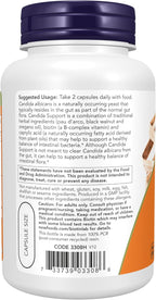 NOW Foods Bacillus Support – Vegan Capsules for Gut Health