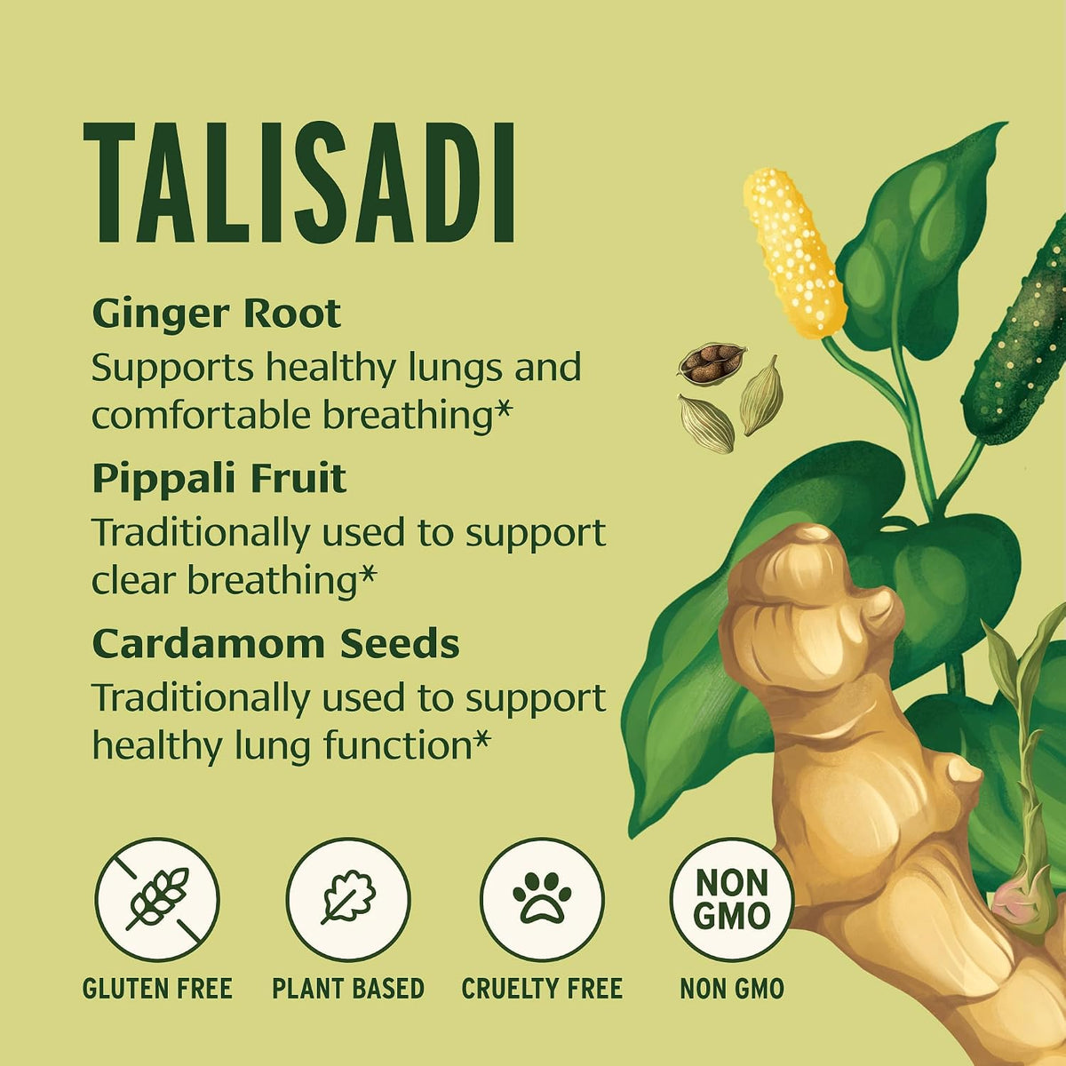 Banyan Botanicals Talisadi Powder - – Pippali (Piper longum): Esta pimienta larga es valorada por su capacidad – Image 2