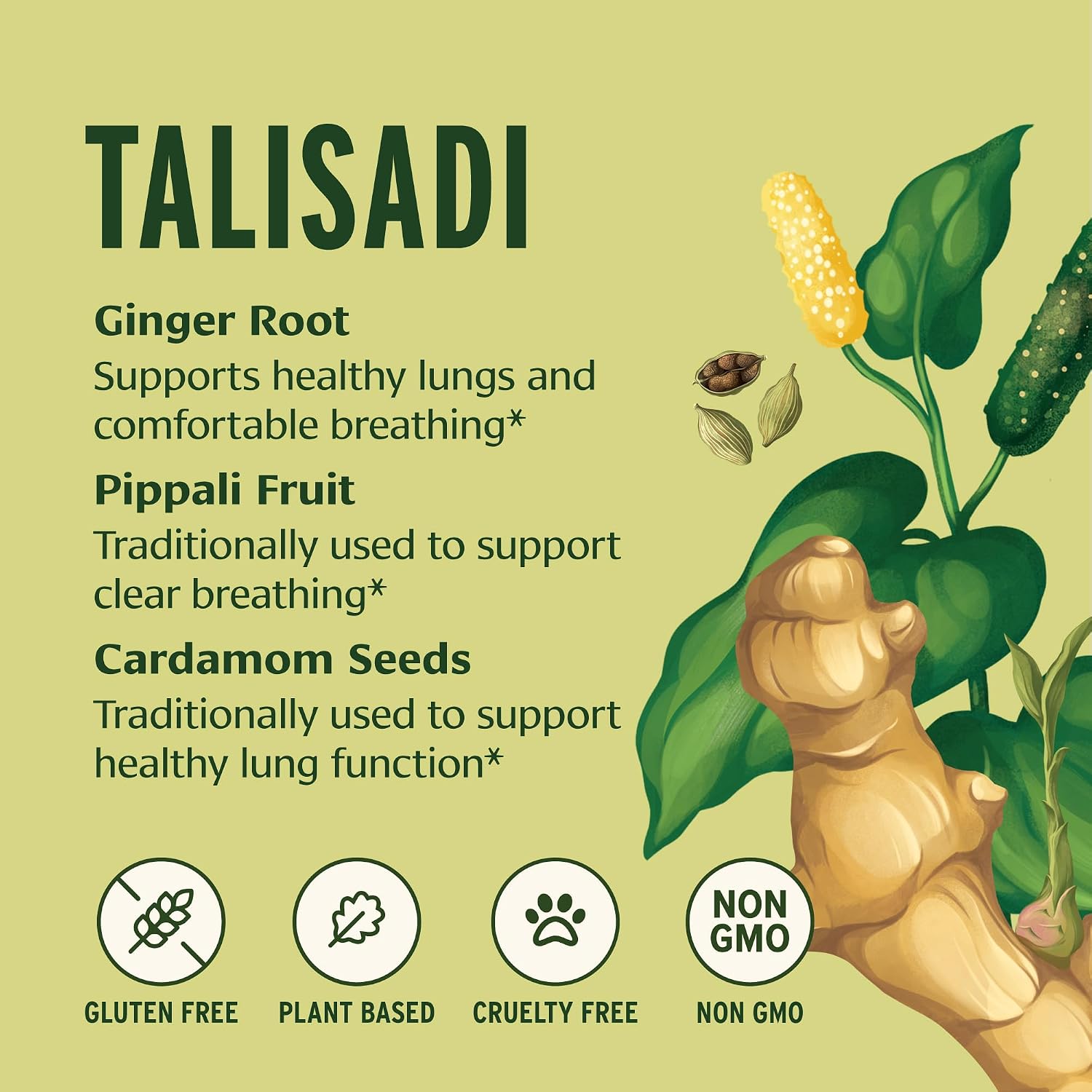 Banyan Botanicals Talisadi Powder - Suplemento Orgánico para el Sistema Respiratorio (227g)
