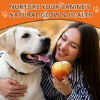 NATURE TARGET Omega 3 Aceite de Pescado para Perros con Omega 3-6-9, Zinc y Vitaminas - 120 Chelines Blandos