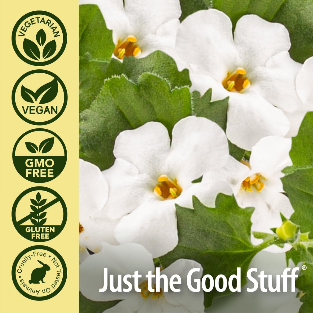 Nature's Answer Bacopa Monnieri 500mg – 90 Cápsulas Veganas