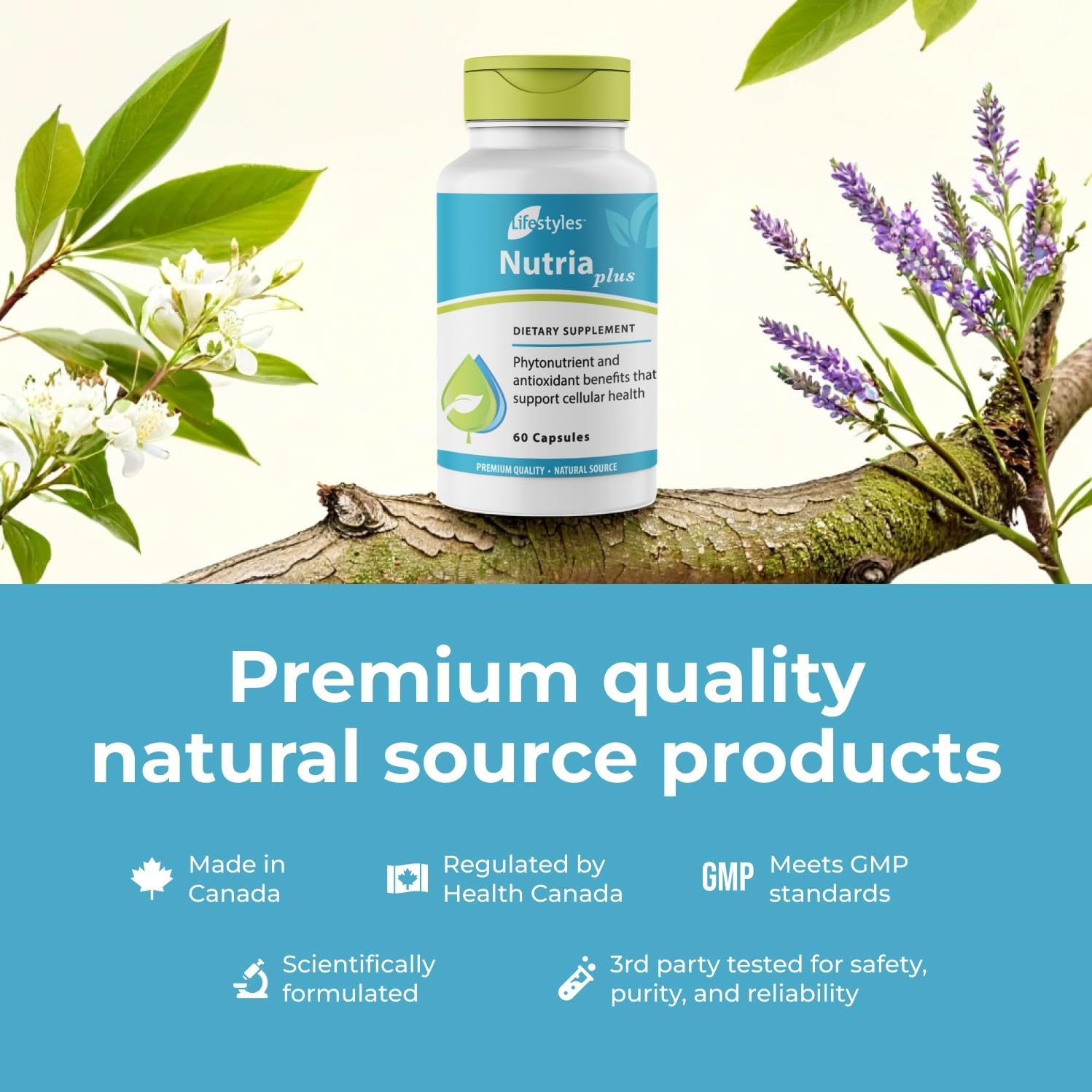 Lifestyles NutriaPlus Antioxidant Supplement - Herbal Immune Support & Multivitamin with Selenium, Vitamin C, Green Tea, Garlic, and More – Made in Canada – 60 Cápsulas