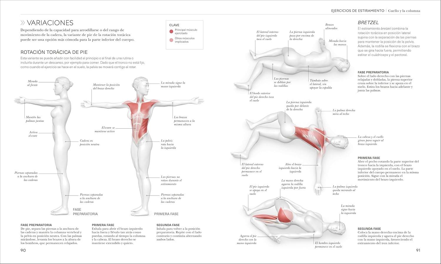 Estiramientos (Science of Stretch) (The Science of Fitness) (Spanish Edition)