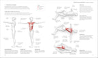 Estiramientos (Science of Stretch) (The Science of Fitness) (Edición en español)