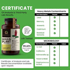 Afiyah Organic - Cápsulas de Costus Igneus (Planta Insulina) - 240 Cápsulas Veganas - Fabricado en EE. UU. - Incluye Programa de Salud Gratuito