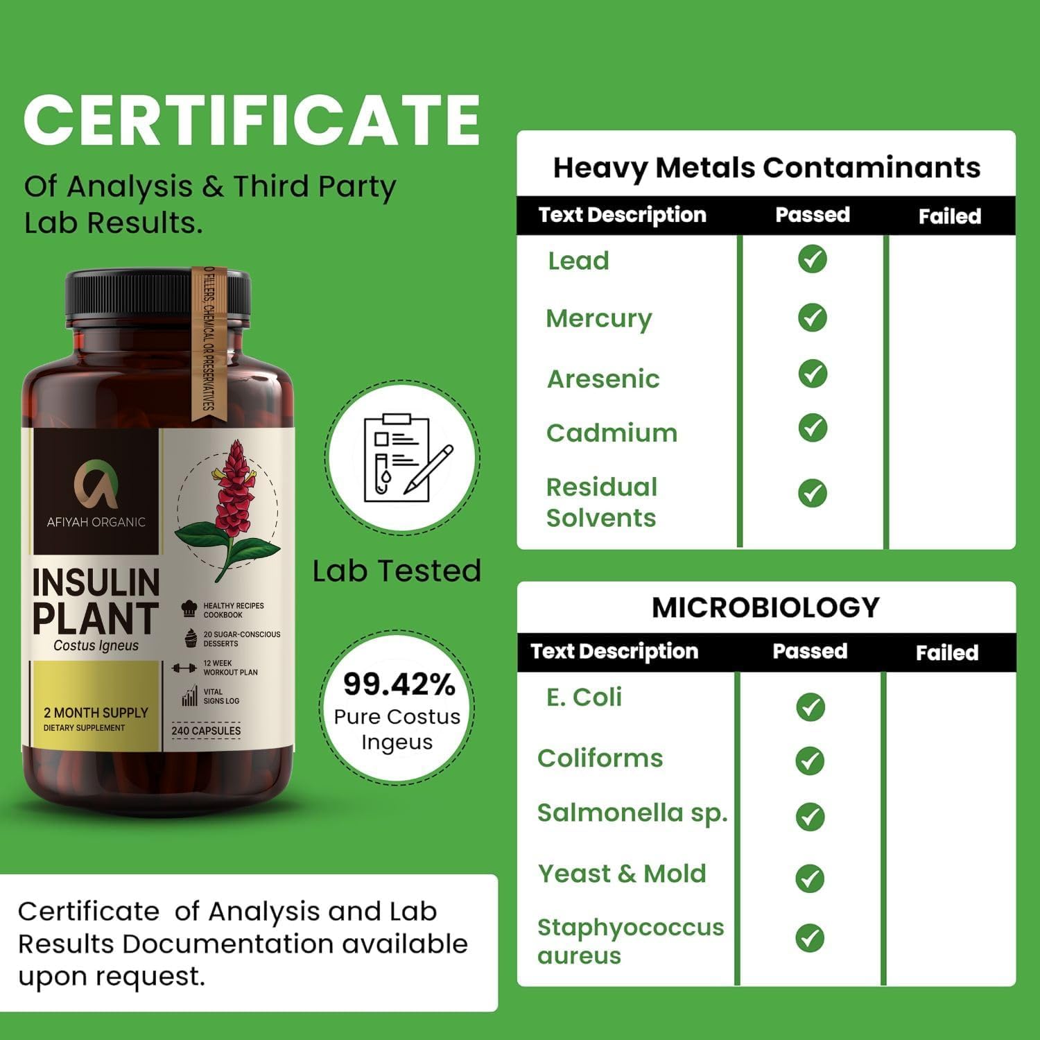 Afiyah Organic - Cápsulas de Costus Igneus (Planta Insulina) - 240 Cápsulas Veganas - Fabricado en EE. UU. - Incluye Programa de Salud Gratuito