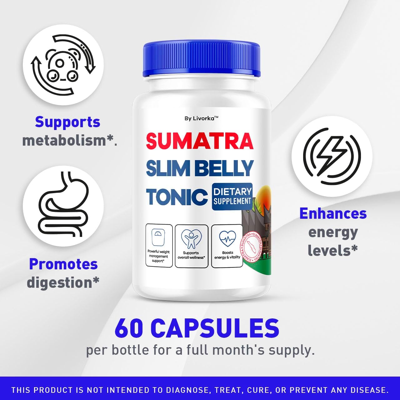 Sumatra Slim Belly Tonic - Complemento Alimenticio en Cápsulas, 60 Cápsulas