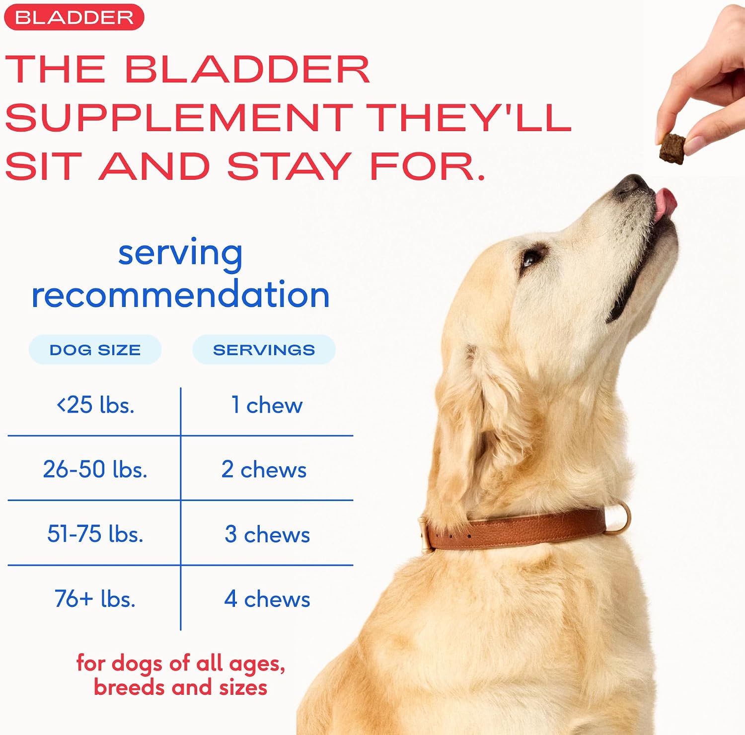 Native Pet Suplemento de Arándano para Perros - Apoyo Urinario y Renal - 60 Masticables