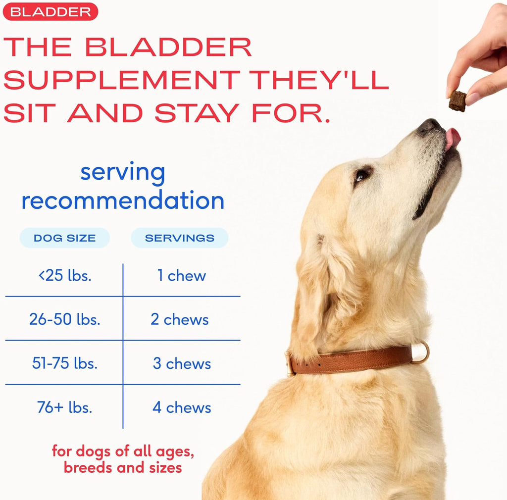 Native Pet Suplemento de Arándano para Perros - Apoyo para la Vejiga y Tracto Urinario - 30 Chews