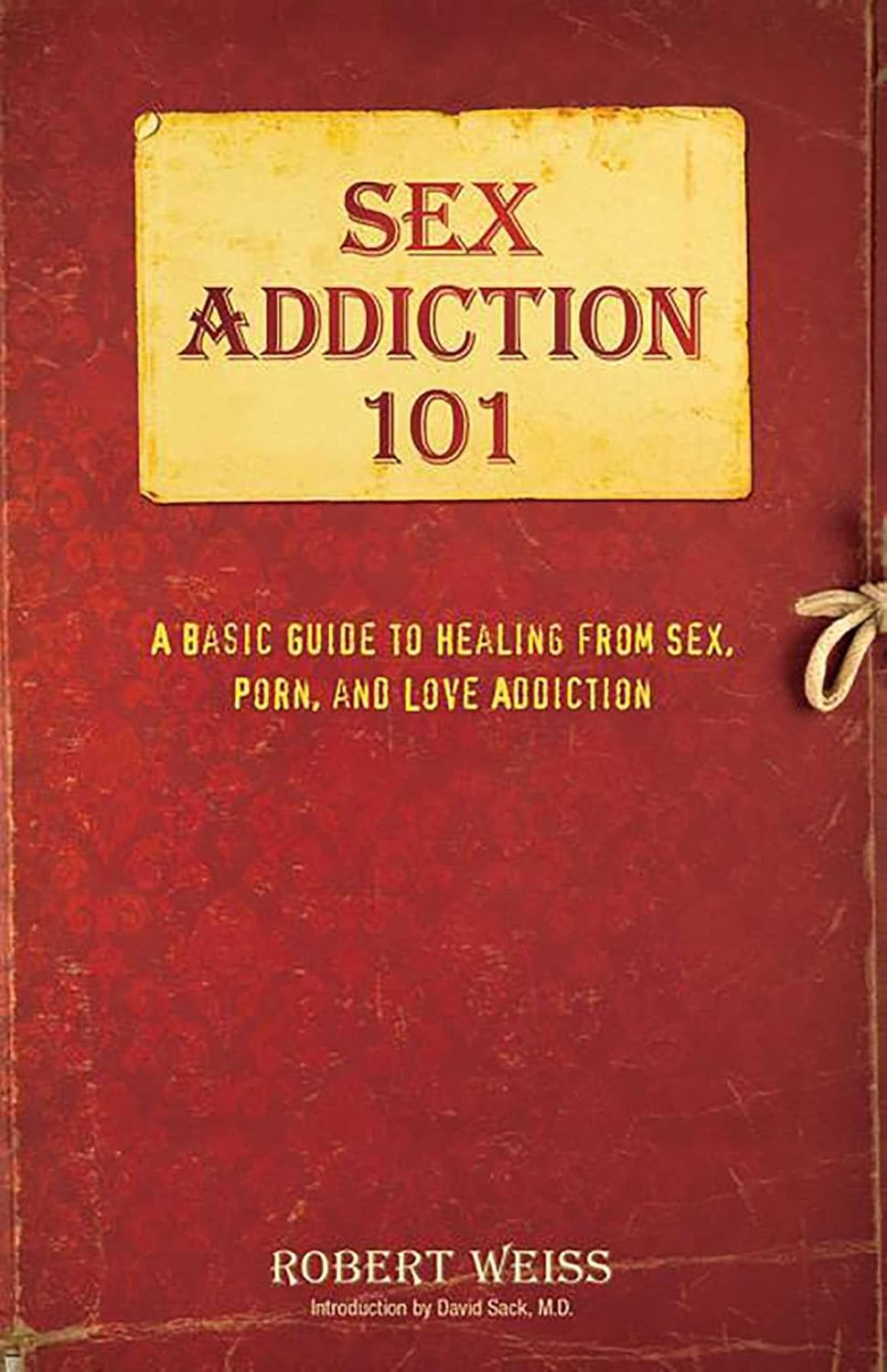 Sex Addiction 101: Guía básica para sanar de la adicción al sexo, porno y amor