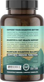 Natural Rhythm Digestive Calm Probiotic + L-Glutamine – 25B CFU, 13 Cepas, Suplemento Digestivo e Inmunitario, 60 Cápsulas Vegetarianas