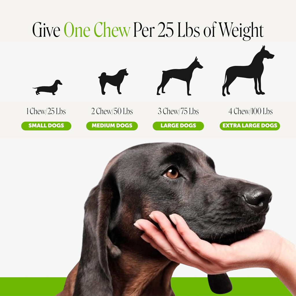 Pet Honesty Grass Green - Neutralizador de Orina para Perros con dl-Metionina, Probióticos y Enzimas - 90 Masticables Sabor Pavo