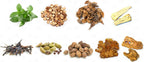Dragon Herbs - Golden Voice Cápsulas - 100 Cápsulas, 500 mg Cada