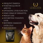 Lexelium Liver Support Supplement para Perros y Gatos - 200g