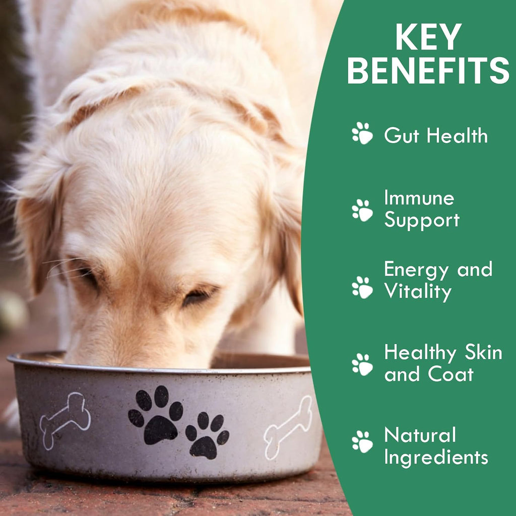 Canine Gut Biome Blend de Holistic Bin - Topper Nutricional con Probióticos y Prebióticos para Perros (50g)