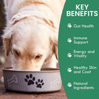 Canine Gut Biome Blend de Holistic Bin - Topper Nutricional con Probióticos y Prebióticos para Perros (50g)