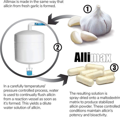 Allimax 180 mg 90 vegcaps - Complemento alimenticio de ajo – Image 5