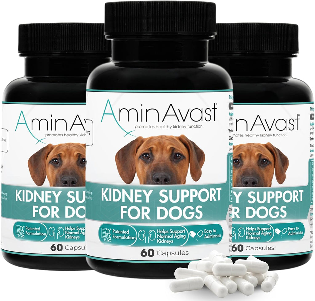 AminAvast Kidney Support - Suplemento para apoyo renal en perros (1000 mg, Pack de 3, 60 cápsulas)